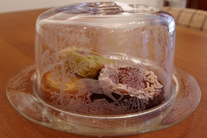 IMGP7881.jpg