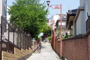 IMGP8818.jpg