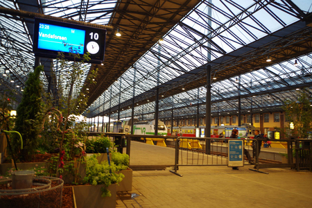 IMGP2362.jpg