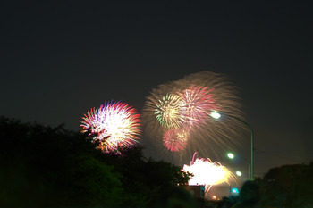 夜空に咲く花