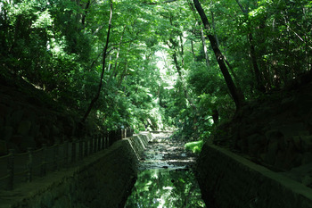 ひんやり渓谷日和