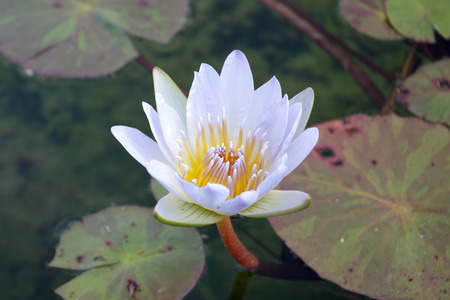 IMGP9911.JPG