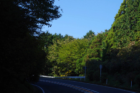 IMGP1354.jpg