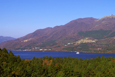IMGP1382.jpg