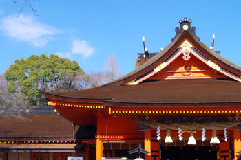 遅ればせながらの初詣