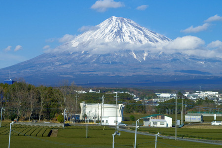 IMGP5279.jpg