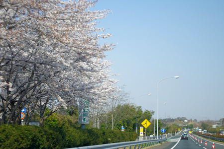 IMGP9204.jpg