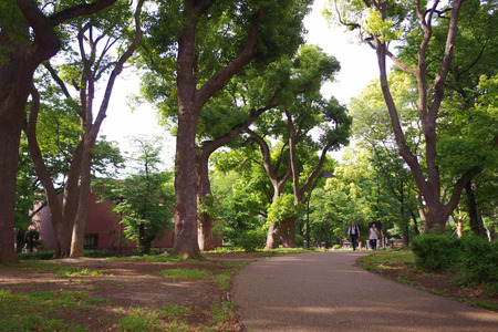 IMGP0361.jpg