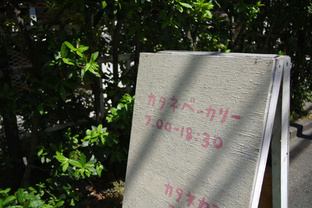 IMGP7838.JPG