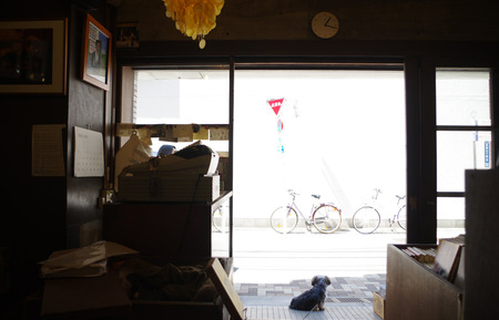 IMGP7839.JPG