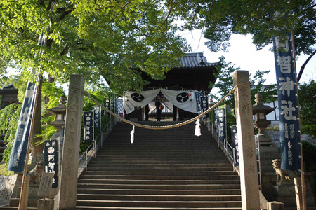 IMGP8077.JPG