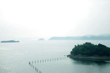 IMGP8086.jpg