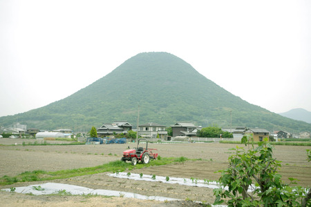 IMGP8125.JPG