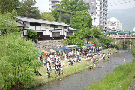IMGP8310.jpg