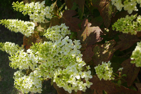 2014-06-01 12.32.30.jpg