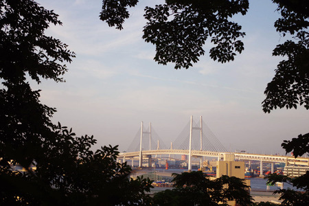 IMGP87933.jpg