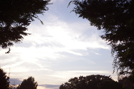 IMGP88444.jpg