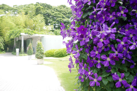 IMGP9092.jpg