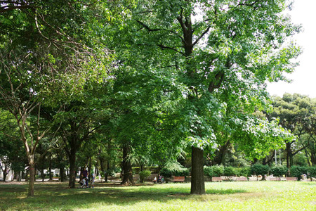 IMGP0425.jpg