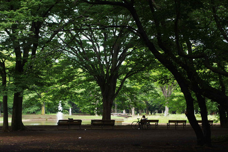 IMGP9481.jpg