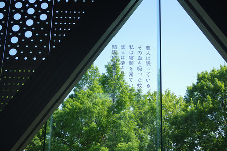 IMGP9674.jpg