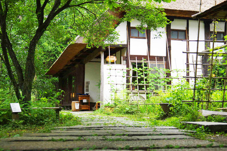 IMGP9899 2.JPG