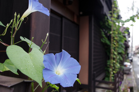 IMGP0542.jpg