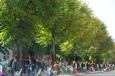 IMGP0902.jpg
