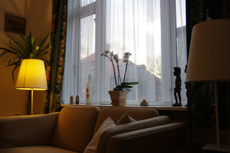 IMGP3293.jpg