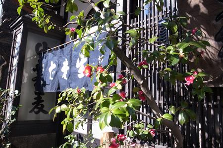 R0018769.jpg