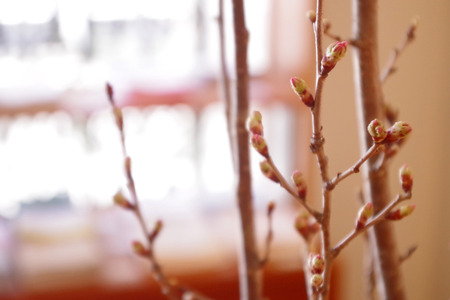 201502213.JPG