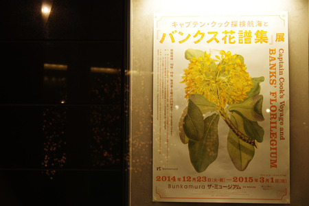 IMGP3644.jpg