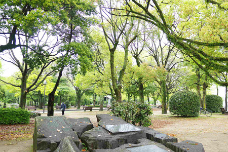 IMGP4712.jpg