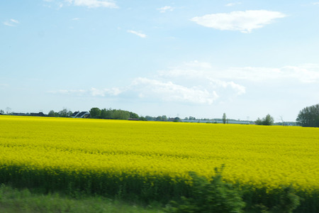 IMGP5091.jpg