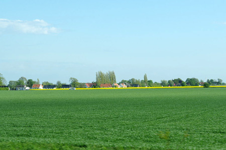 IMGP5092.jpg