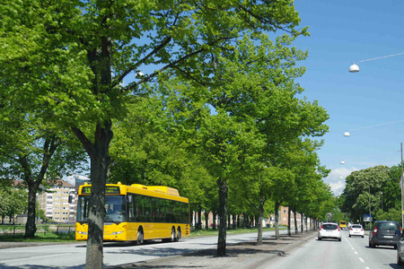 IMGP5122.jpg