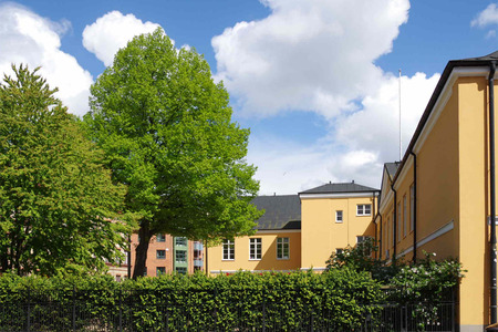 IMGP5179.jpg