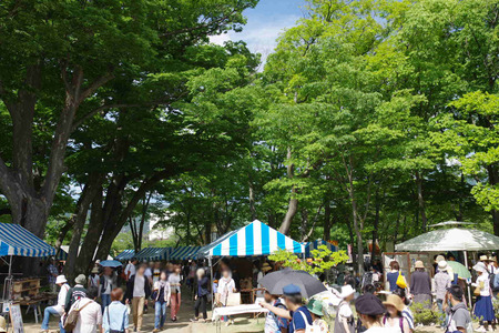 IMGP5682.JPG