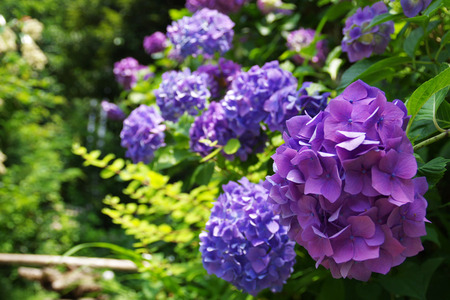 IMGP5841.JPG