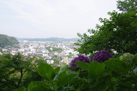 IMGP5887.JPG