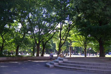 IMGP6591.JPG