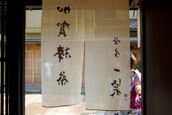 【夏旅③】緑あふれる美術館エリア