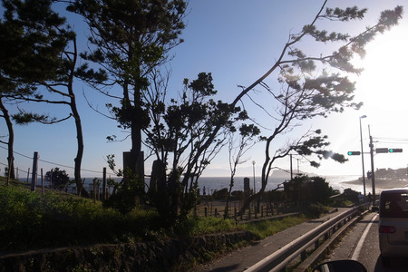 R0019206.jpg