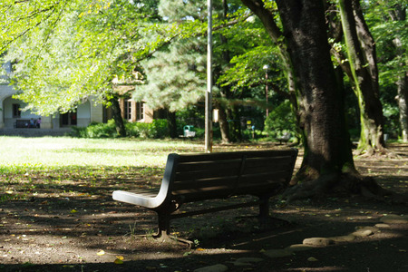 IMGP7166.JPG