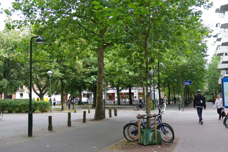 IMGP7310.JPG