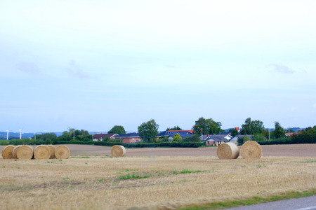 IMGP7348.jpg