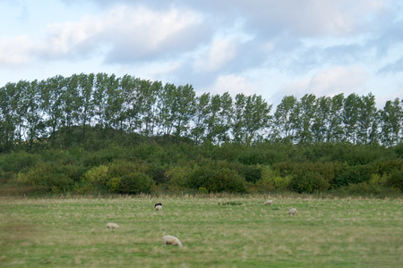 IMGP7692.jpg