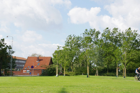 IMGP7834.jpg