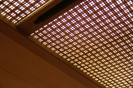 IMGP8157.JPG
