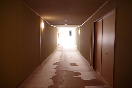 IMGP8207.JPG